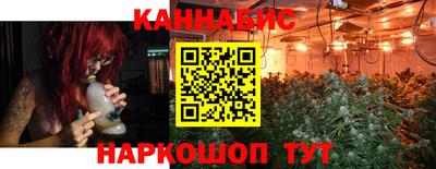стаф Ставрополь