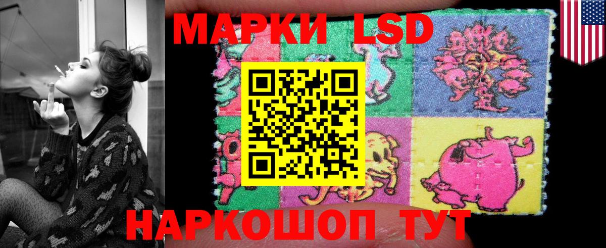 LSD-25 экстази кислота  ЛСД экстази  Новозыбков  Вход с VPN 