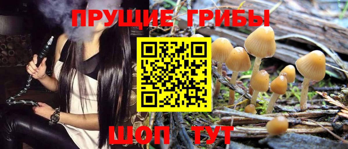 Новозыбков  Галлюциногенные грибы прущие грибы  Вход с VPN 